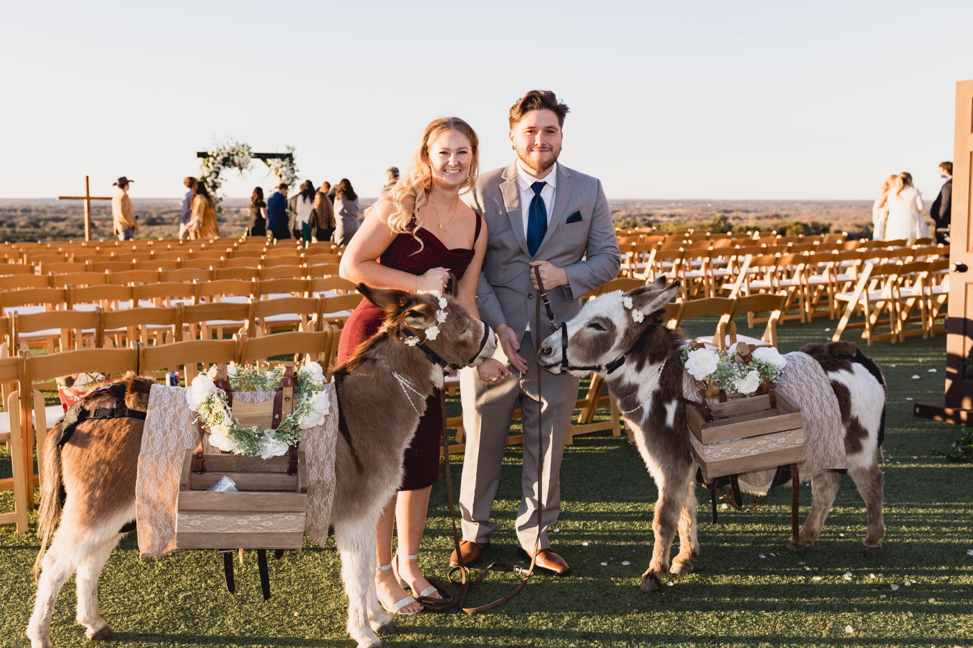 Two miniature donkeys greet guests before the ceremony at Diamond A Ranch, and Weatherford wedding venue