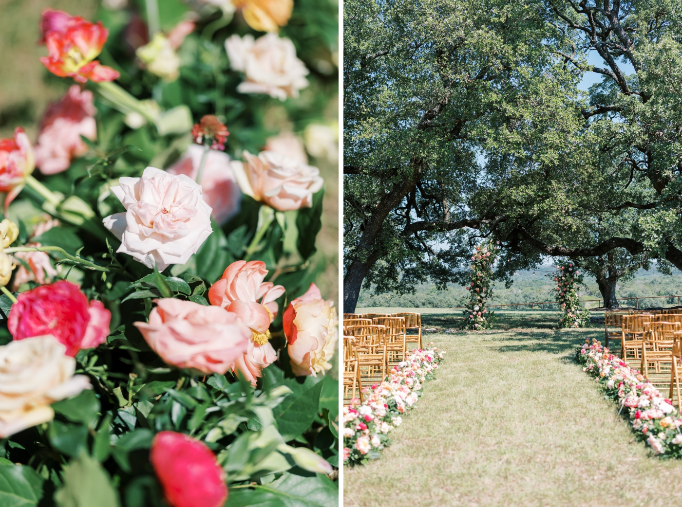 Pink roses lining the aisle of a wedding ceremony at the Diamond A Ranch