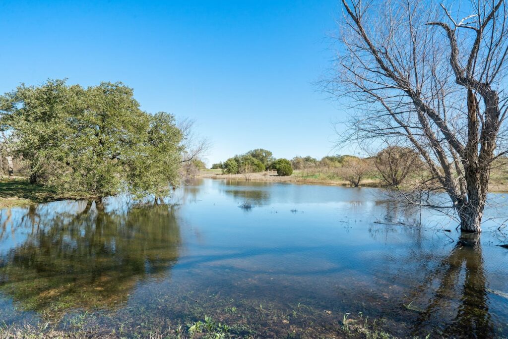 Fishing pond at Diamond A Ranch.