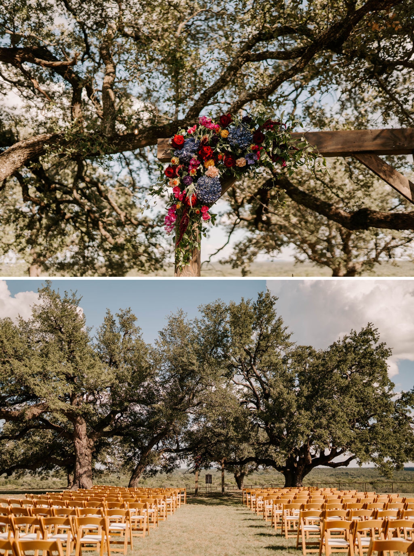 A large ceremony set up beneath the sprawling branches of oak trees at a Dallas wedding venue 