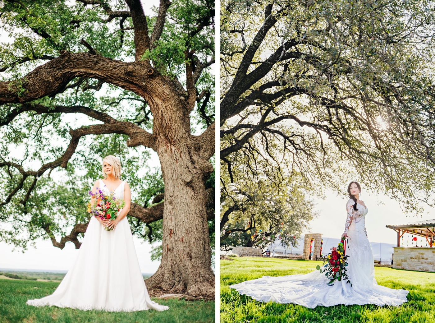 Two different brides holding vibrant bouqets stands beneath the live oak grove at the Diamond A Ranch