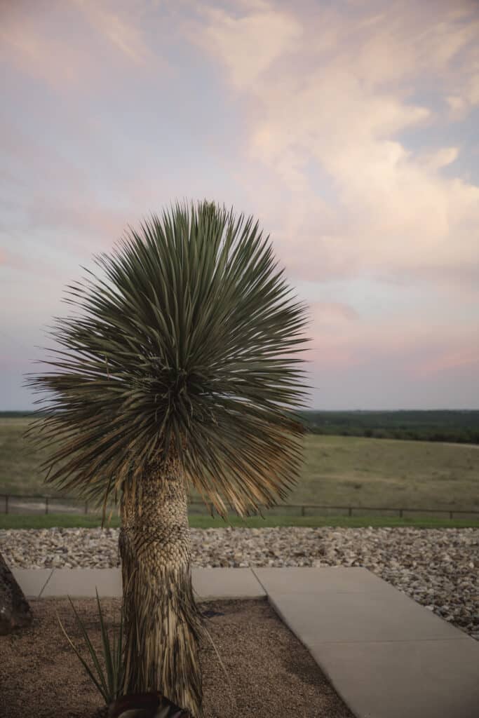 Wedding venue with accommodations in north Texas
